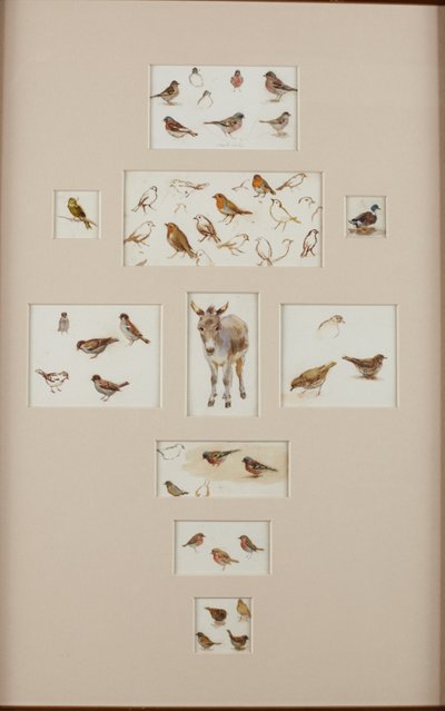 Schetsen van een ezel en vogels door Helen Allingham