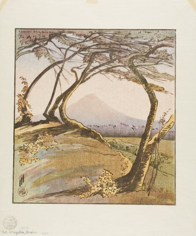 Mount Orizaba door Helen Hyde