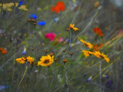 Goddelijk Mysterie door Helen White