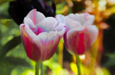 Verlicht van Binnen door Helen White