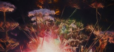 Stralende Haag, 2018 door Helen White