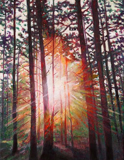 Zonnestraal door Helen White