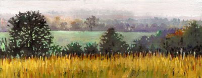 Naar Grazeley, 2012 (olieverf op doek) door Helen White