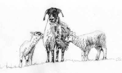 Wij Drieën, 2012 door Helen White