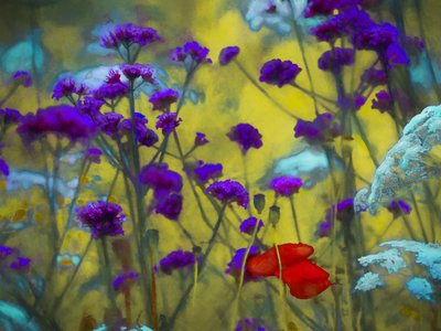 Wild Hart door Helen White