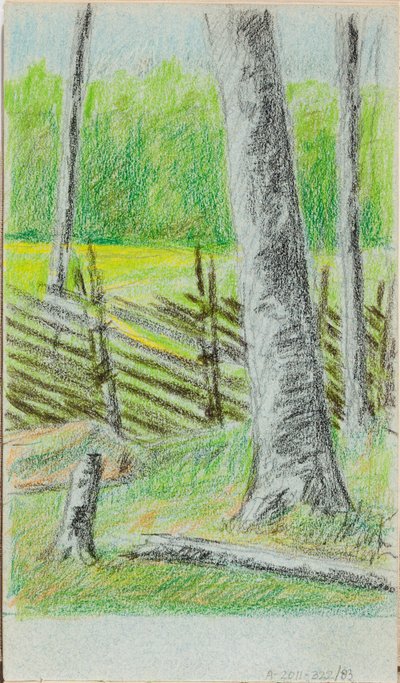 Ohne Titel door Helene Schjerfbeck