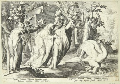 Faetons Zusters veranderen in Populieren en Cygnus in een Zwaan door Hendrick Goltzius