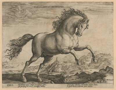 Wild paard door Hendrick Goltzius