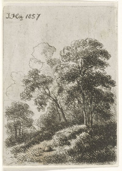 Bomen op een heuvel door Hendrik Jan Hein