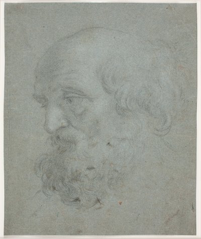 Baardig mannenhoofd (Apostel Petrus) door Hendrik Krock