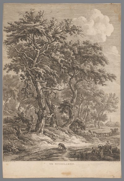 Landschap bij Zuidlaren door Hendrik Schwegman