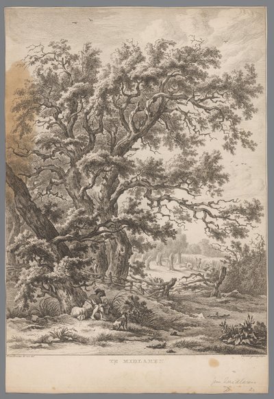 Landschap met een man en hond onder een boom bij Midlaren Negen gezichten in Drenthe (serie titel) IX Gezichten in, en bij het landschap Drenthe (serie titel) door Hendrik Schwegman