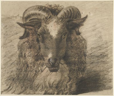 Kop van een ram door Hendrik Stokvisch