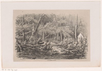 Omgewaaide bomen aan de Jacobalaan, na de storm van 28 mei 1860 door Hendrik Wilhelmus Last
