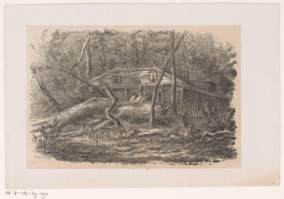 Omgewaaide boom bij Buitenlust, na de storm van 28 mei 1860 door Hendrik Wilhelmus Last