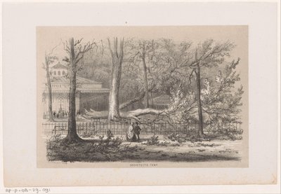 Omgewaaide boom bij de sociëteit, na de storm van 28 mei 1860 door Hendrik Wilhelmus Last