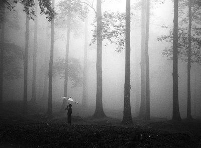 Misty Woods-paraplu door Hengki Lee