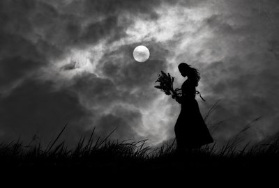 Vrouw in het maanlicht door Hengki Lee