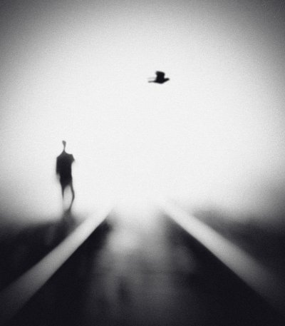 Eenzame man, vliegende vogel door Hengki Lee