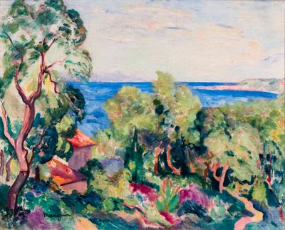  door Henri-Charles Manguin
