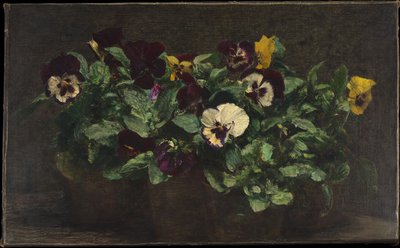 Stilleven met viooltjes door Henri Fantin-Latour