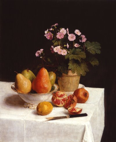 Nature morte (primula