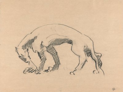 Leeuwin in profiel door Henri Gaudier Brzeska