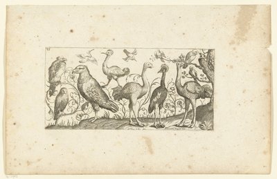 Twaalf vogels (Vogels) door Henri Le Roy