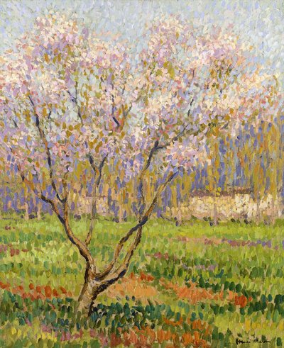 Appelboom in Bloei door Henri Martin