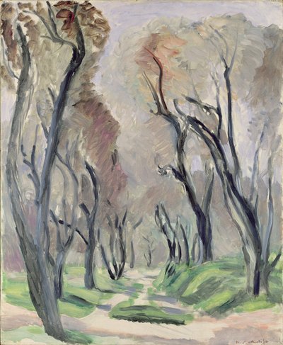 Olijfboomlaan door Henri Matisse