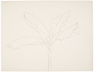 Bananenboom (Tahiti) door Henri Matisse