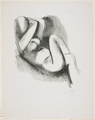 Le Grand Nu (Groot naakt) door Henri Matisse