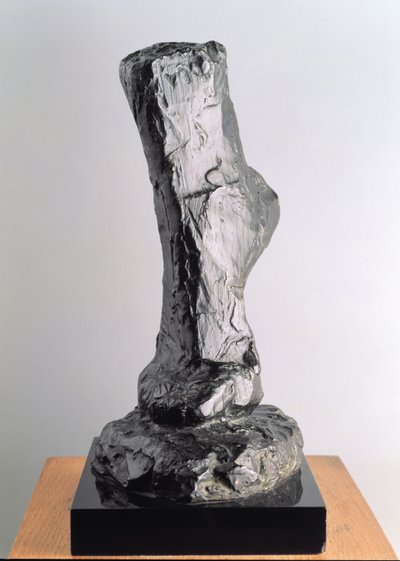 Studie van een voet door Henri Matisse