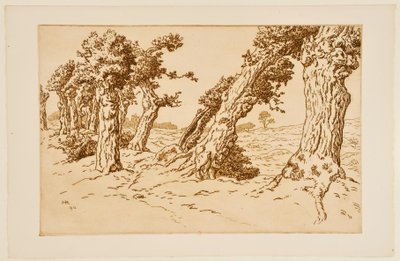 Knotige Baumstämme door Henri Rivière