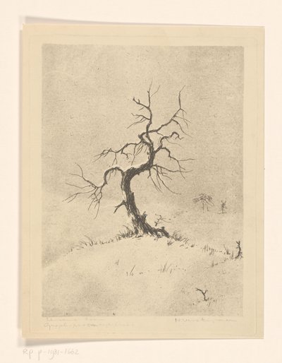Eenzame boom door Henri Verstijnen (signed by artist)