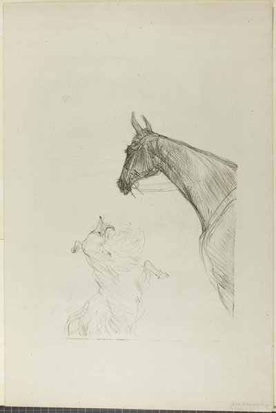 Paard en Collie door Henri de Toulouse Lautrec