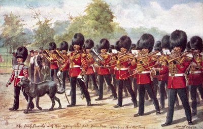 De Irish Guards marcheren met hun regimentsdier in het park door Henry A. Payne