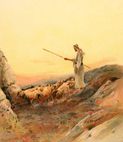 Een herder die zijn schapen telt door Henry Andrew Harper
