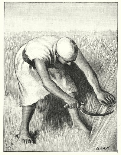 Oogsten in het Oosten door Henry Andrew Harper