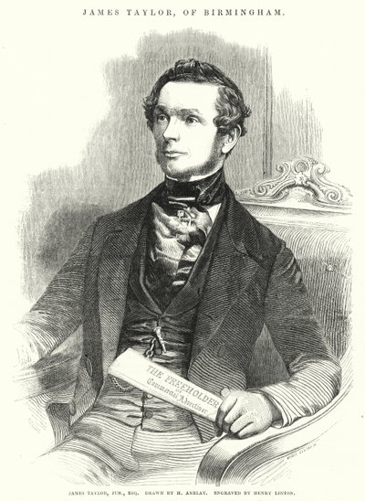 James Taylor door Henry Anelay