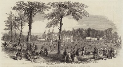 Vrede, Gematigdheid en Verbond van Universele Broederschap Festival, in Hartwell, Bucks door Henry Anelay