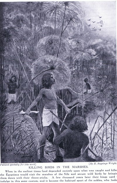 Vogels doden in de moerassen, ca. 1920 door Henry Charles Seppings Wright