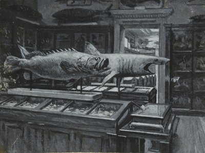 Interieur van het British Museum met de galerij van visexposities, ca. 1880 door Henry Edward Tidmarsh