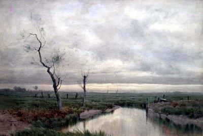 Kustmoerassen door Henry Farrer