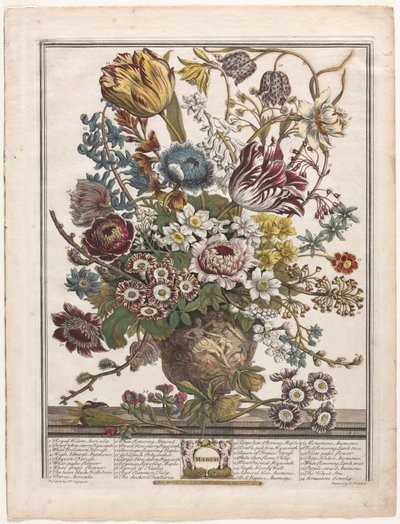 Twaalf Maanden Bloemen: Maart door Henry Fletcher