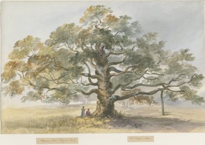 Blithfield - Bedelaars Eik door Henry James Noyes