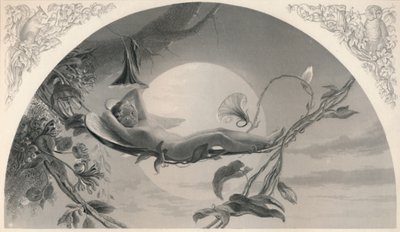 Ariel De Storm, ca. 1870 door Henry James Townsend