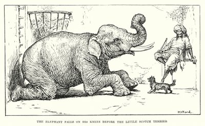 De olifant valt op zijn knieën voor de kleine Schotse terriër door Henry Justice Ford