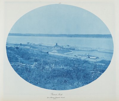 Beschermrots, Des Moines Rapids-kanaal L.W.,1885 (foto) door Henry Peter Bosse