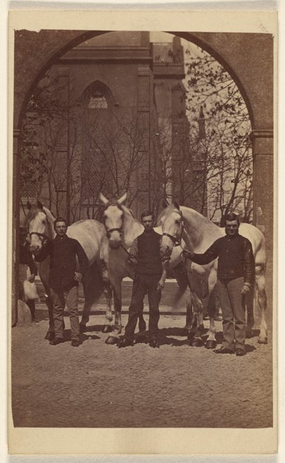 [Drie mannen poseren met drie witte paarden]. door Henry Pointer